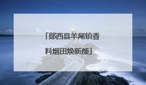 郧西县羊尾镇香料烟田焕新颜