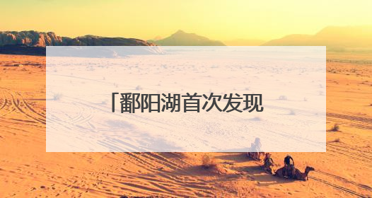 鄱阳湖首次发现彩鹮筑巢繁殖