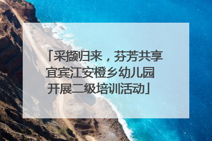 采撷归来，芬芳共享 宜宾江安橙乡幼儿园开展二级培训活动