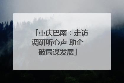 重庆巴南：走访调研听心声 助企破局谋发展