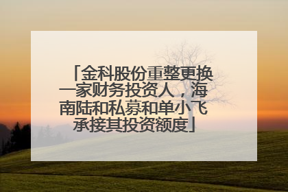 金科股份重整更换一家财务投资人，海南陆和私募和单小飞承接其投资额度