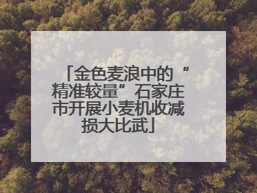 金色麦浪中的“精准较量”石家庄市开展小麦机收减损大比武