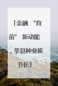金融 “育苗” 新动能，莘县种业拔节长