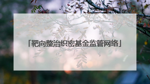 靶向整治织密基金监管网络