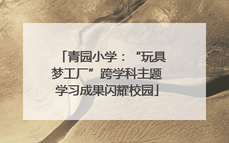 青园小学：“玩具梦工厂”跨学科主题学习成果闪耀校园