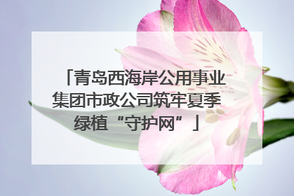 青岛西海岸公用事业集团市政公司筑牢夏季绿植“守护网”