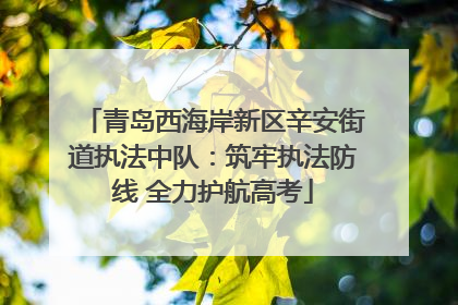 青岛西海岸新区辛安街道执法中队：筑牢执法防线 全力护航高考