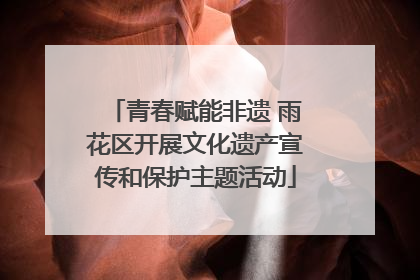青春赋能非遗 雨花区开展文化遗产宣传和保护主题活动