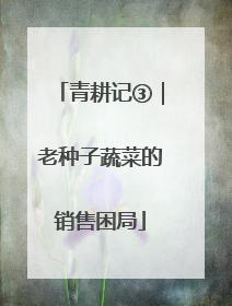 青耕记③｜老种子蔬菜的销售困局