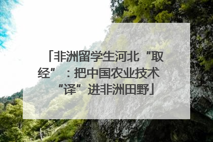 非洲留学生河北“取经”：把中国农业技术“译”进非洲田野