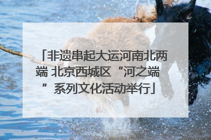 非遗串起大运河南北两端 北京西城区“河之端”系列文化活动举行