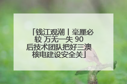钱江观潮丨毫厘必较 万无一失 90后技术团队把好三澳核电建设安全关