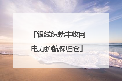 银线织就丰收网 电力护航保归仓