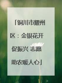 铜川市耀州区：金银花开促振兴 志愿助农暖人心