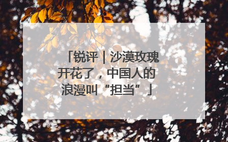锐评｜沙漠玫瑰开花了，中国人的浪漫叫“担当”