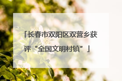 长春市双阳区双营乡获评“全国文明村镇”