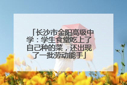 长沙市金阳高级中学：学生食堂吃上了自己种的菜，还出现了一批劳动能手