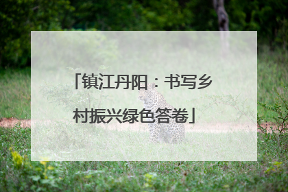 镇江丹阳：书写乡村振兴绿色答卷