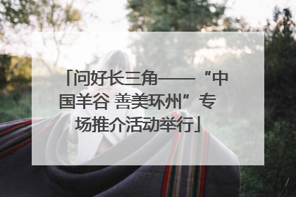 问好长三角——“中国羊谷 善美环州”专场推介活动举行