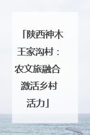 陕西神木王家沟村：农文旅融合 激活乡村活力