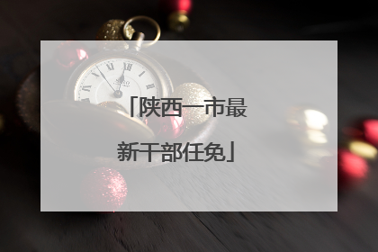 陕西一市最新干部任免