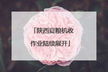 陕西夏粮机收作业陆续展开