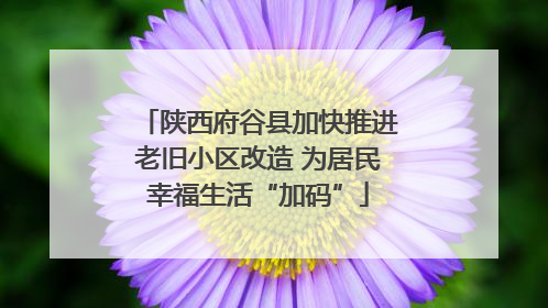 陕西府谷县加快推进老旧小区改造 为居民幸福生活“加码”