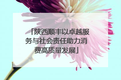 陕西顺丰以卓越服务与社会责任助力消费高质量发展