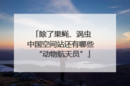 除了果蝇、涡虫 中国空间站还有哪些“动物航天员”