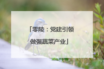 零陵：党建引领 做强蔬菜产业