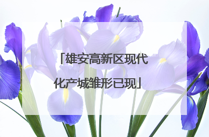 雄安高新区现代化产城雏形已现
