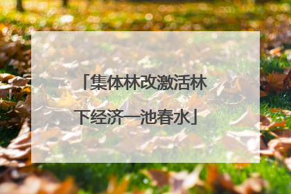 集体林改激活林下经济一池春水