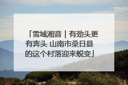 雪域湘音｜有劲头更有奔头 山南市桑日县的这个村落迎来蜕变