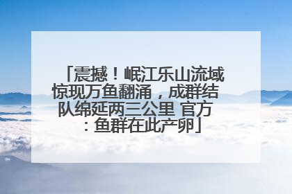 震撼！岷江乐山流域惊现万鱼翻涌，成群结队绵延两三公里 官方：鱼群在此产卵