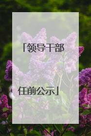 领导干部任前公示