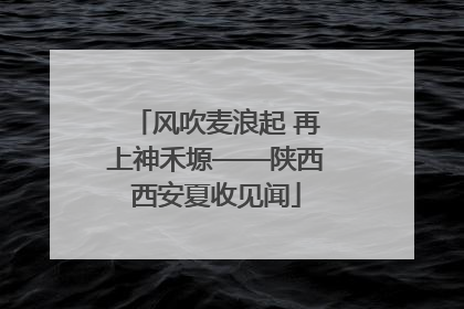 风吹麦浪起 再上神禾塬——陕西西安夏收见闻