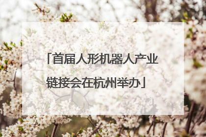 首届人形机器人产业链接会在杭州举办
