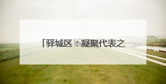 驿城区：凝聚代表之力 办好惠民实事