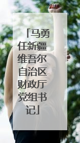 马勇任新疆维吾尔自治区财政厅党组书记