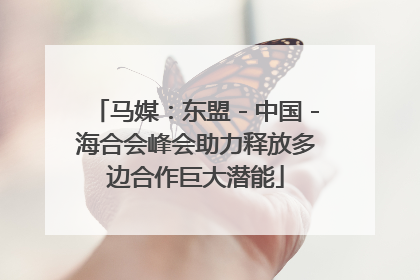 马媒：东盟－中国－海合会峰会助力释放多边合作巨大潜能