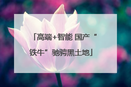 高端+智能 国产“铁牛”驰骋黑土地