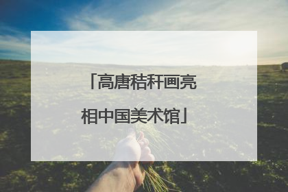 高唐秸秆画亮相中国美术馆