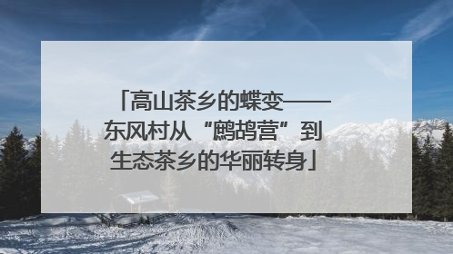 高山茶乡的蝶变——东风村从“鹧鸪营”到生态茶乡的华丽转身
