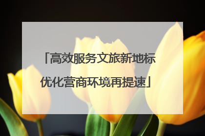 高效服务文旅新地标 优化营商环境再提速