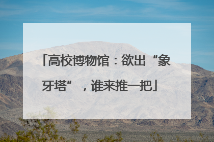 高校博物馆：欲出“象牙塔”，谁来推一把