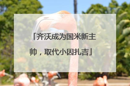 齐沃成为国米新主帅，取代小因扎吉