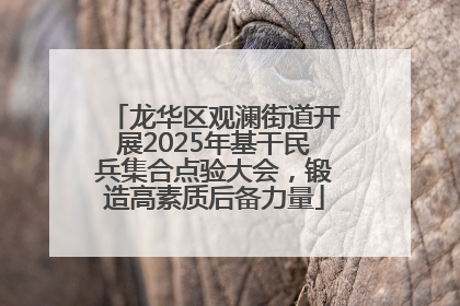 龙华区观澜街道开展2025年基干民兵集合点验大会，锻造高素质后备力量