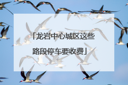 龙岩中心城区这些路段停车要收费