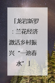 龙岩新罗：兰花经济激活乡村振兴“一池春水”