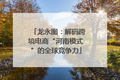 龙永图：解码跨境电商“河南模式”的全球竞争力